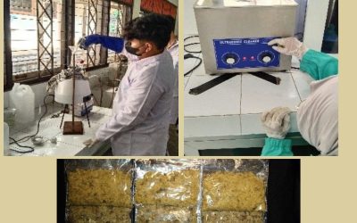 Diponegoro University Chemical Engineering Students Develop Method to Make Protein Concentrated Protein from Cranberries with Environmentally Friendly Process